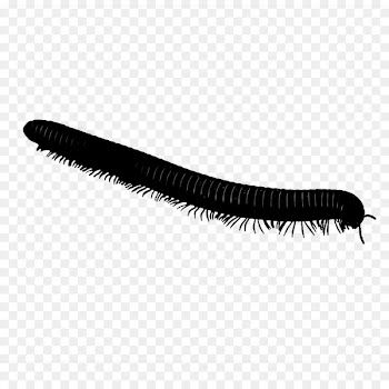 Eyelash Brush -  