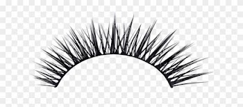 Eyelash Clipart Girly - Natural Fake Lashes