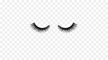 Eyelash extensions Beauty Cosmetics Eye Shadow - hair 