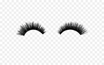 Eyelash extensions Lilly Lashes Artificial hair integrations Portable Network Graphics - ashokchakra business 