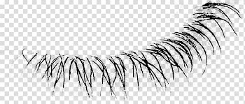 Eyelash extensions Line art Eyebrow, design transparent background PNG clipart