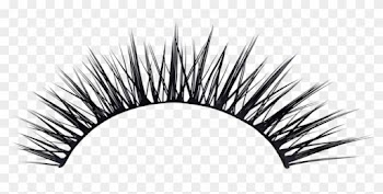 Eyelashes Clipart Transparent Background - Natural Fake Lashes