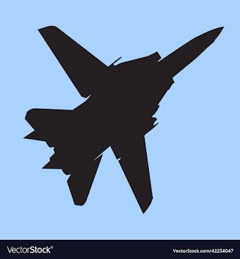 f14 tomcat jetfighter silhouette design