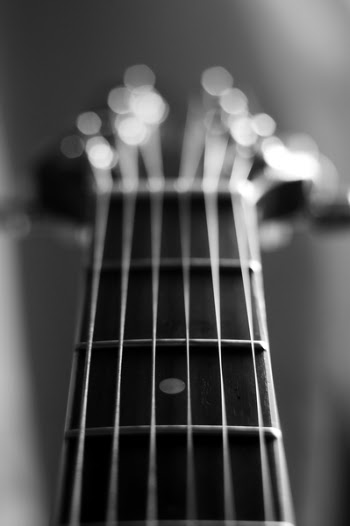 f31354824-01.jpg