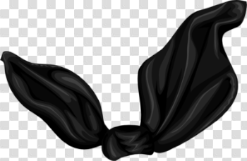 Fabric Transparent Images