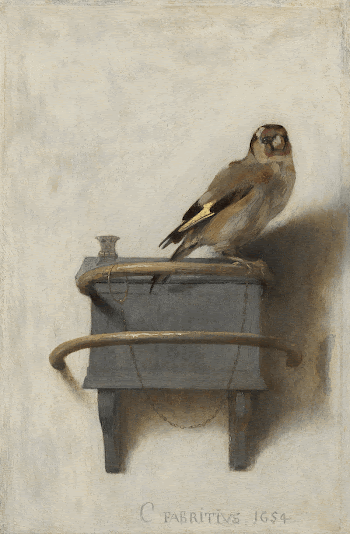 Fabritius-vink | Free Photo - rawpixel