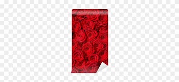 Fabulous Fotomural Estndar Las Rosas Rojas El Smbolo - Garden Roses