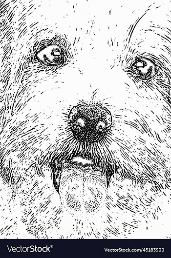 face dog sketch poster image