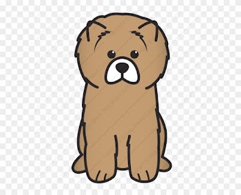 Face Of Red Chow-chow Dog - Cartoon Border Terrier