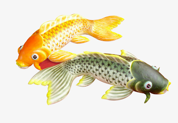 Face Two Fish, Face Clipart, Fish Clipart, Surface Plastic PNG Image ...