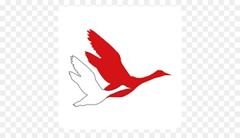 Facebook Falster North Sea Goose Like button -  