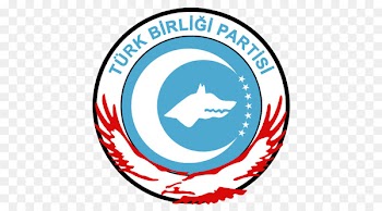 Facebook France Turkey Artist -  