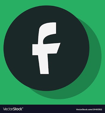 Facebook logotype social network icon vector image