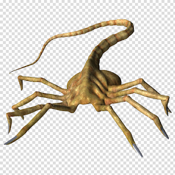 Facehugger png by manoluv on DeviantArt
