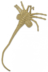 Facehugger png » PNG Image
