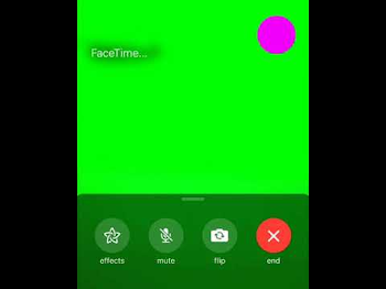 FaceTime Meme Greenscreen Template [DOWNLOAD LINK] - YouTube