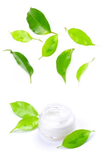 Facial cream - Close-up of a face cream with  green leafs on top