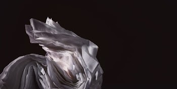 Facial Tissue Texture