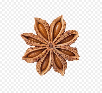 Facing heaven pepper Spice Star anise Food - Star anise spice 