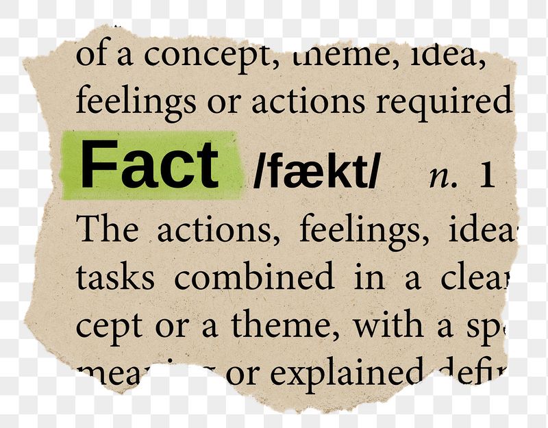 Fact png word sticker, torn | Free PNG - rawpixel