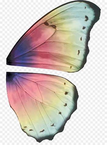 Fairy Butterfly Buffalo wing Elf - Ali 