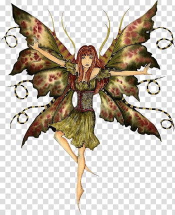 Fairy Duende Elf Faery Wicca Magic, Fairy transparent background PNG clipart