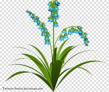 Fairy flower, blue flowers illustratoin transparent background PNG clipart