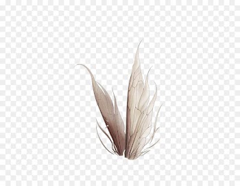 Fairy Idea Illustration - Insect wings 