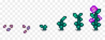 Fairy Rose - Stardew Valley Fairy Rose