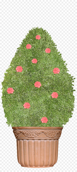 Fairy tale Tree TIFF - Fairy tale tree 