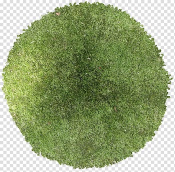 Fairy tale tree transparent background PNG clipart