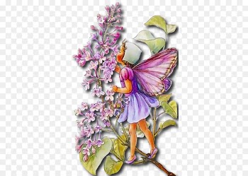 Fairy Wish Flower Fairies Elf Fantastic art - Fairy 