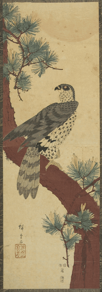Falcon, Pine, and SunOriginal from the Minneapolis | Free Photo - rawpixel
