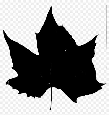 Fall Beijing Leaves Black Stencil 3 - Leaf Silhouette