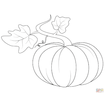 Fall Color Sheets Food Clipart Squash & Clip Art Images #29206 ...