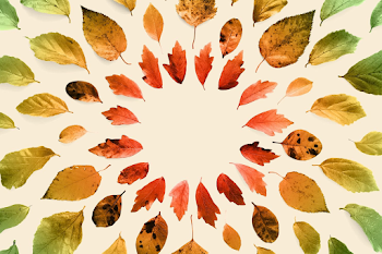 Fall foliage map 2019: Trip ideas for leaf-peeping - The ...