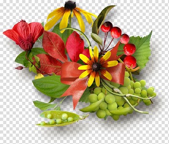 Fall fruit transparent background PNG clipart