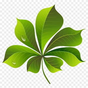 Fall Green Leaf Png Clipart Image - Leaf Clipart Png