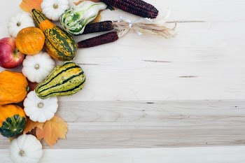Fall Harvest Spread