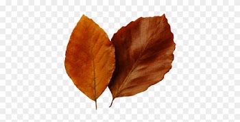 Fall Leaf Clip Art - Autumn