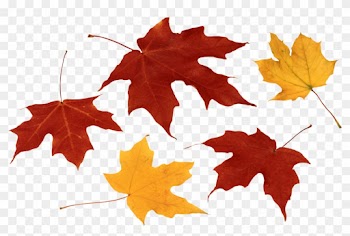 Fall Leaf Clip Art Black And White Image Free Download - Clipart Leaves Png