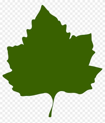 Fall Leaf Clip Art Green