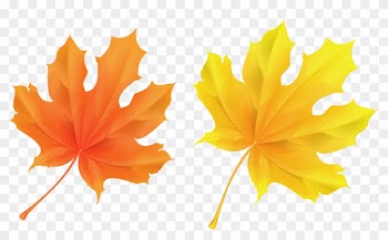 Fall Leaf Clipart No Background - Yellow And Orange Leaves