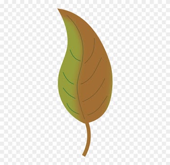 Fall Leaf Drawing, Autumn Leaf Clip Art - Autumn Leaves Clipart Png