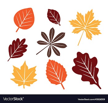 fall leaves