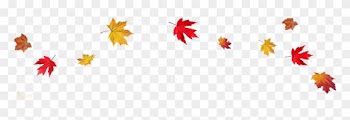 Fall Leaves Border Png