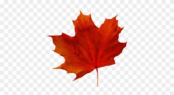 Fall Leaves Clip Art - Fall Leaf With Transparent Background