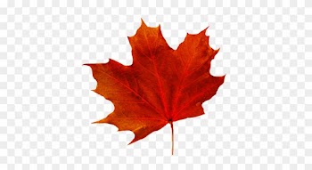 Fall Leaves Clip Art - Fall Leaf With Transparent Background