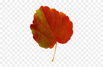 Fall Leaves Clip Art - Orange Fall Leaf Clip Art