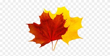 Fall Leaves Clip Art - Red And Yellow Leaf